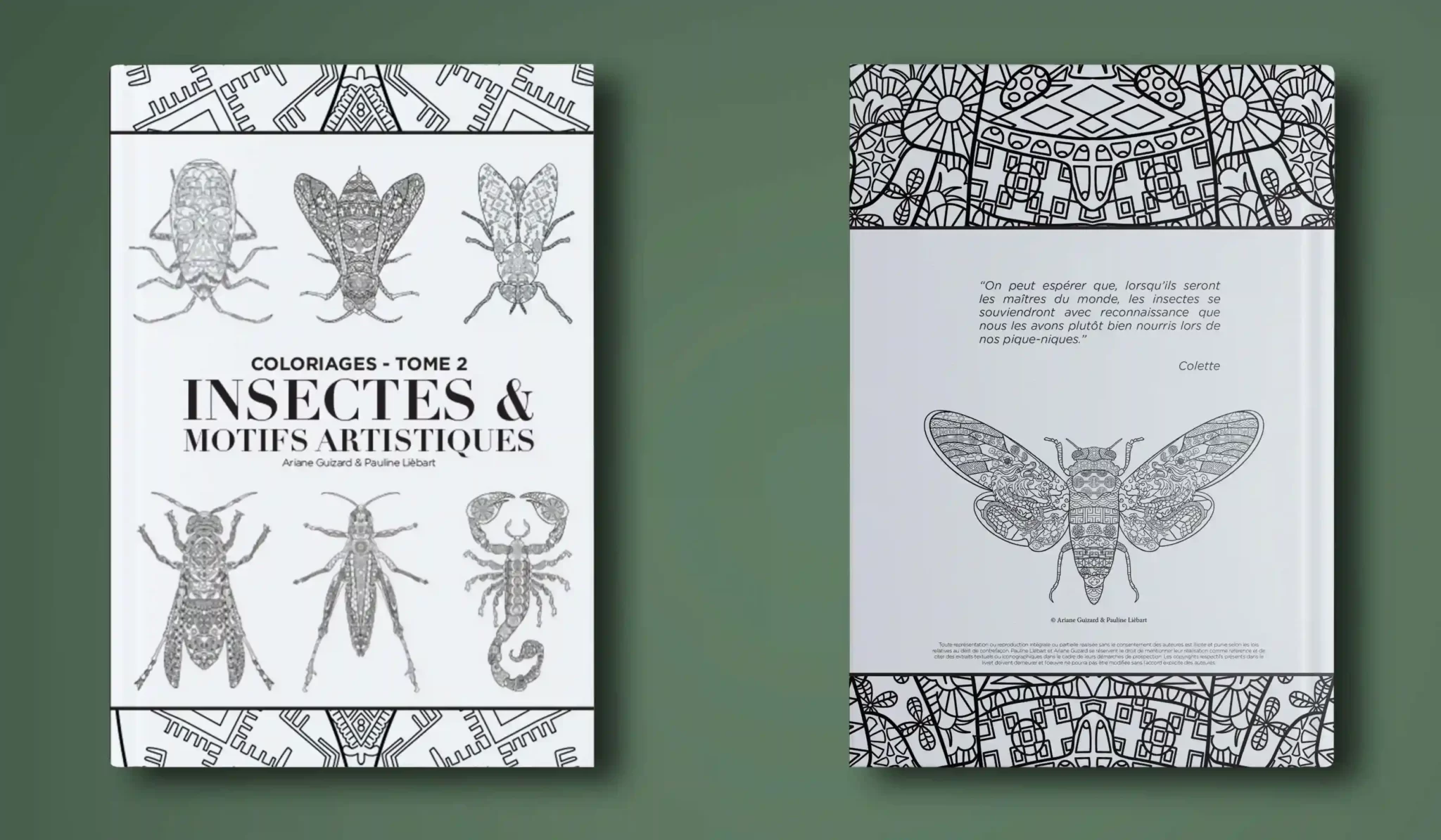 Livret de coloriages – Insectes et Motifs artistiques – Tome 2