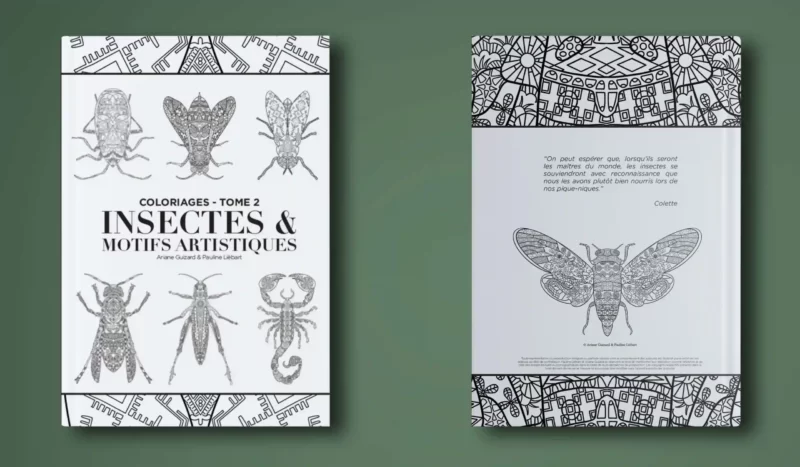 Lire la suite à propos de l’article Livret de coloriages – Insectes et Motifs artistiques – Tome 2